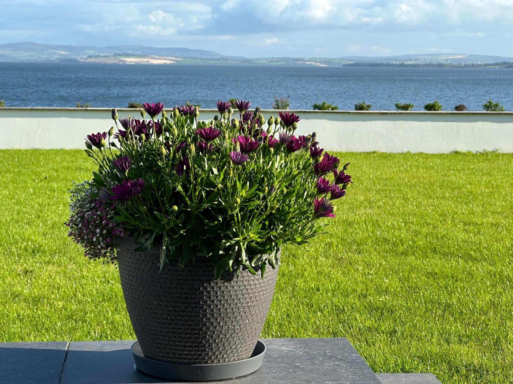 Sea Vista - Rathmullan Villa Luaran gambar