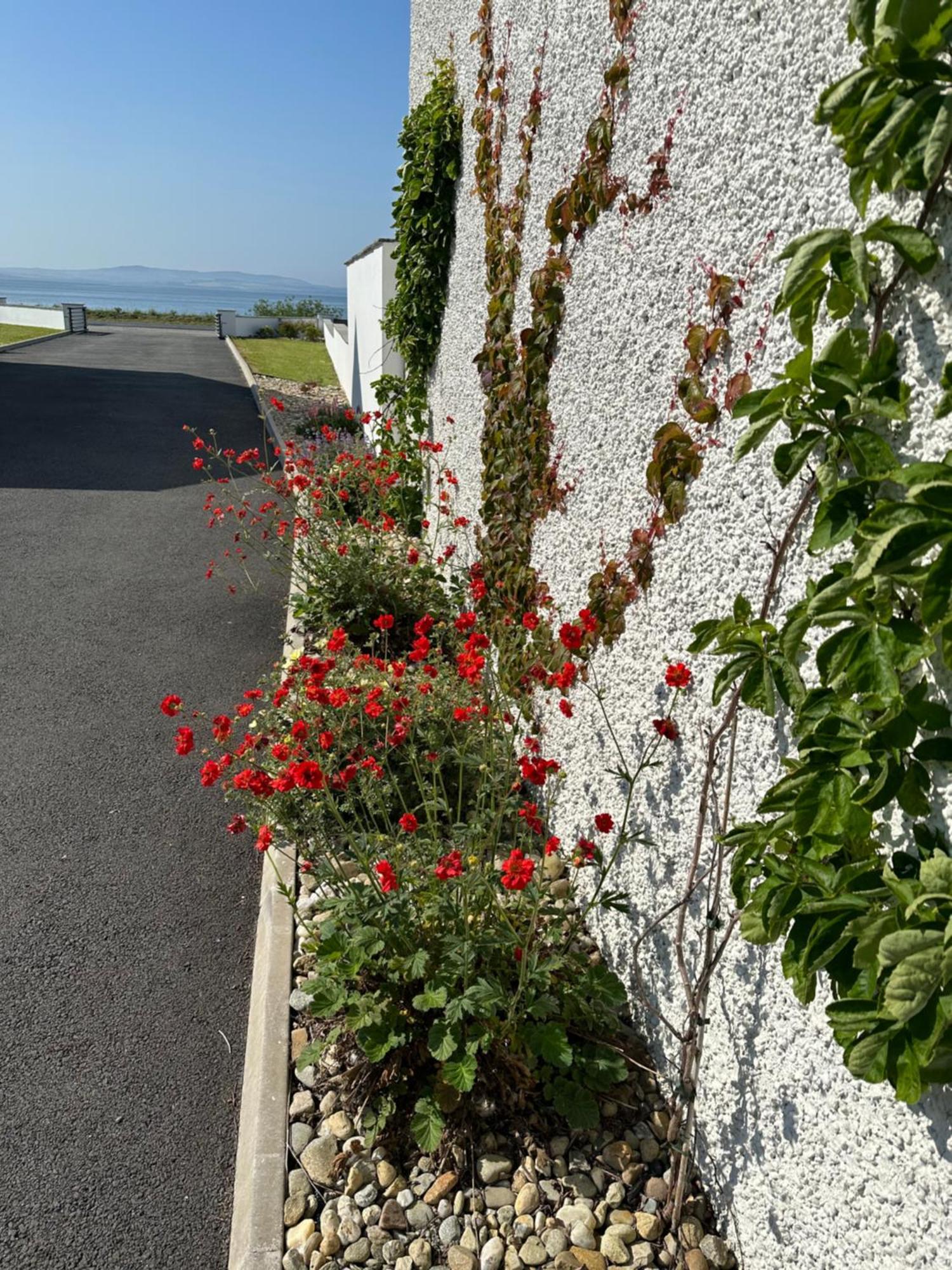 Sea Vista - Rathmullan Villa Luaran gambar